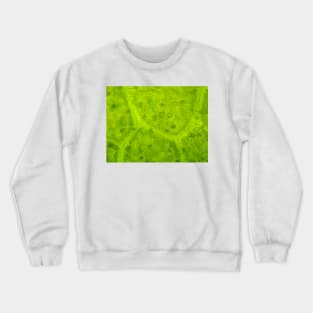 Magnolia leaf under the microscope Crewneck Sweatshirt